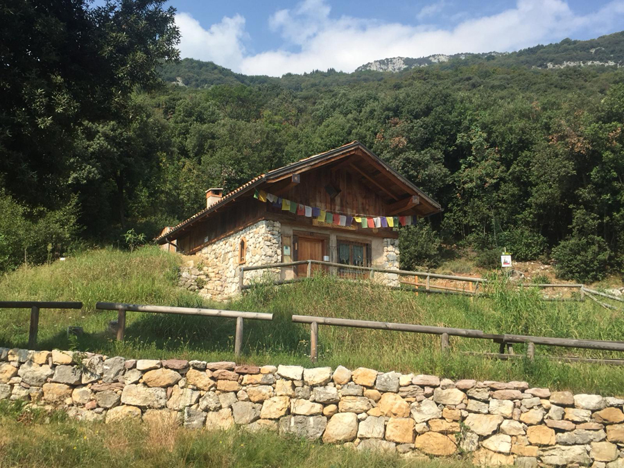 WhatsApp Image 2018-09-16 at 16.56.55.jpeg.jpg